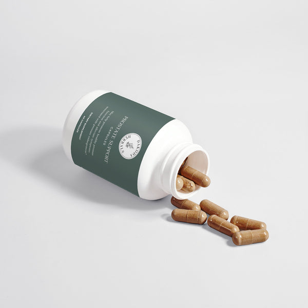 Prostate Support for Men