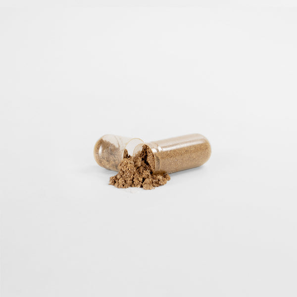 Prostate Support for Men