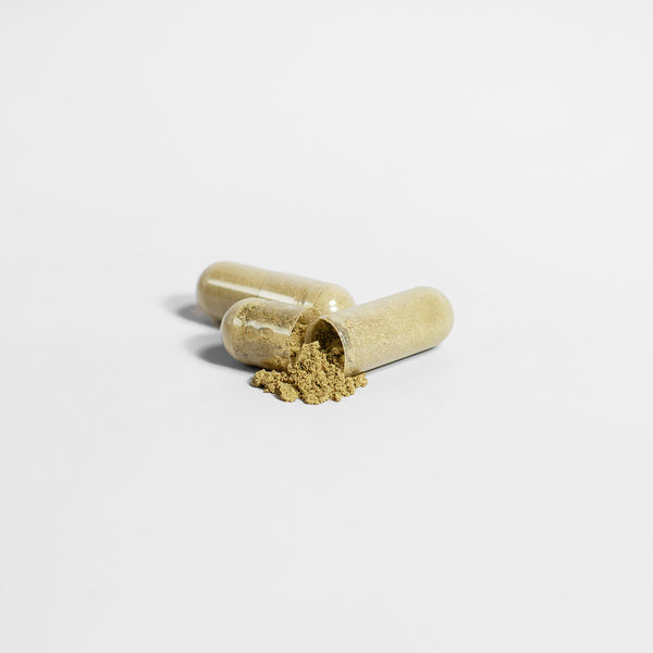 Ginkgo Biloba + Ginseng Supplement, Immune Boosting