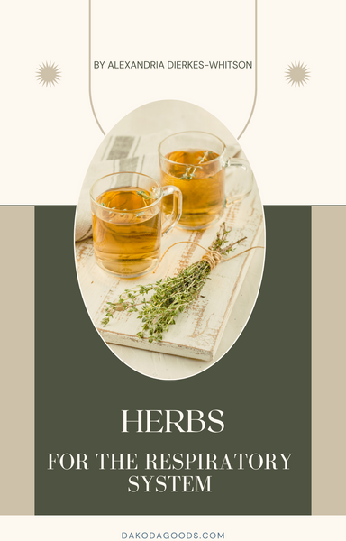 Herbs for the Respiratory System - Downloadable E-book