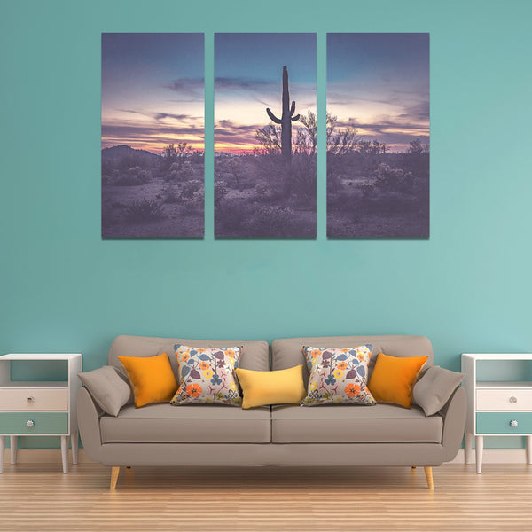 3 pc Canvas Desert Night Framed Canvas Art Prints Set X (3 Pieces) (Made In USA)