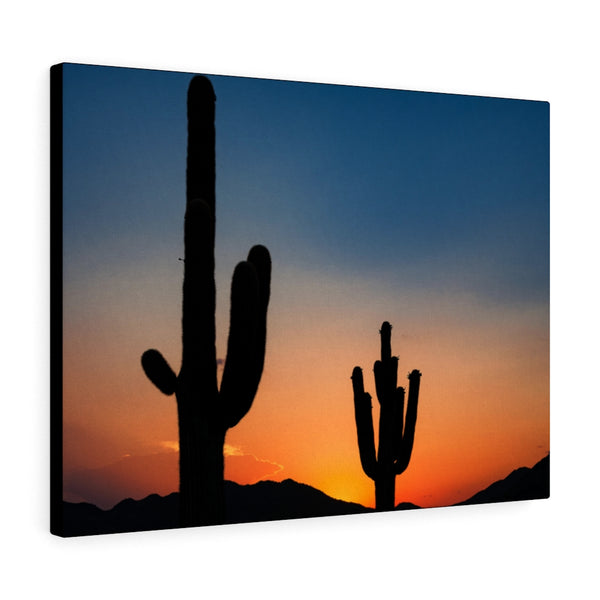 Canvas, Desert, Wall Art Canvas, Home Decor, Wall Decor, Midwest