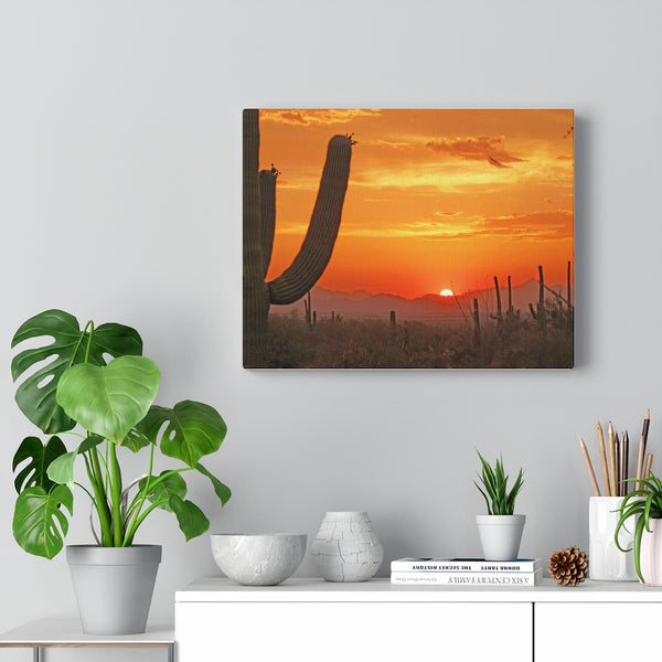 Wall Art | Canvas Wall Decor | Home Decor Midwest Decor Cactus Decor
