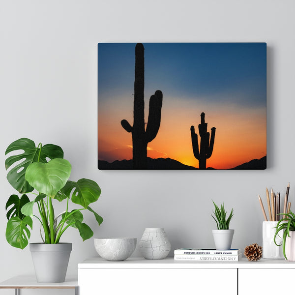 Canvas, Desert, Wall Art Canvas, Home Decor, Wall Decor, Midwest