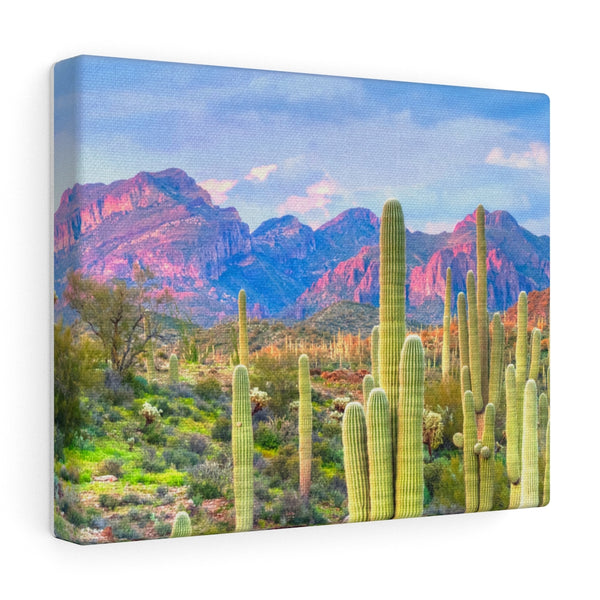 Wall Decor Midwest Desert Canvas Wrap