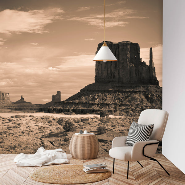 Desert Valley Wall Mural