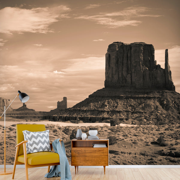 Desert Valley Wall Mural