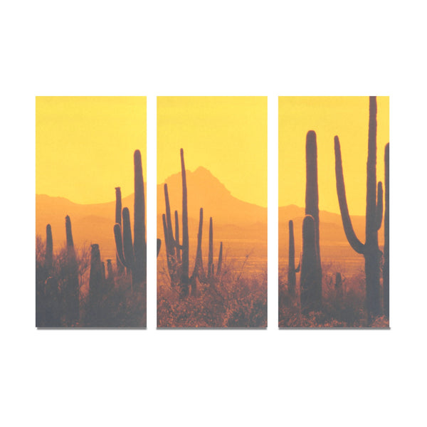 Desert Sunset Framed Canvas Art Prints Set X (3 Pieces) (Made In USA)