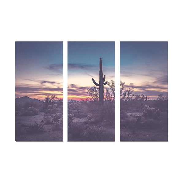 3 pc Canvas Desert Night Framed Canvas Art Prints Set X (3 Pieces) (Made In USA)