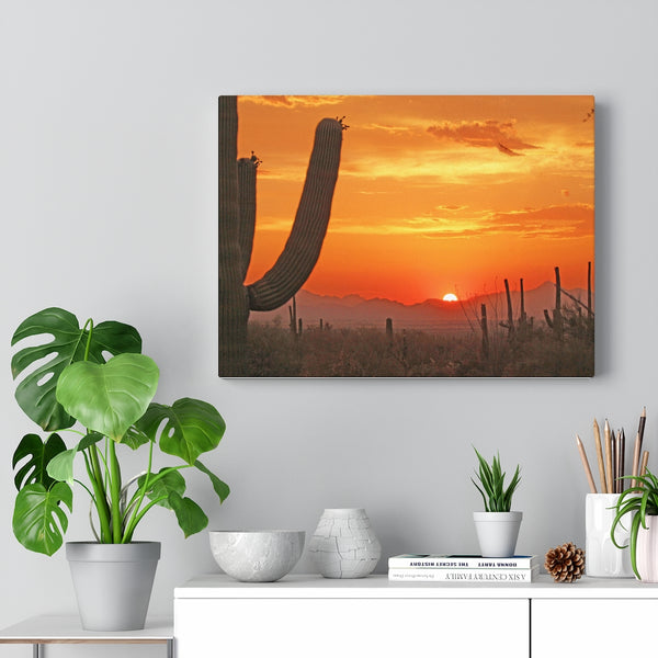 Wall Art | Canvas Wall Decor | Home Decor Midwest Decor Cactus Decor