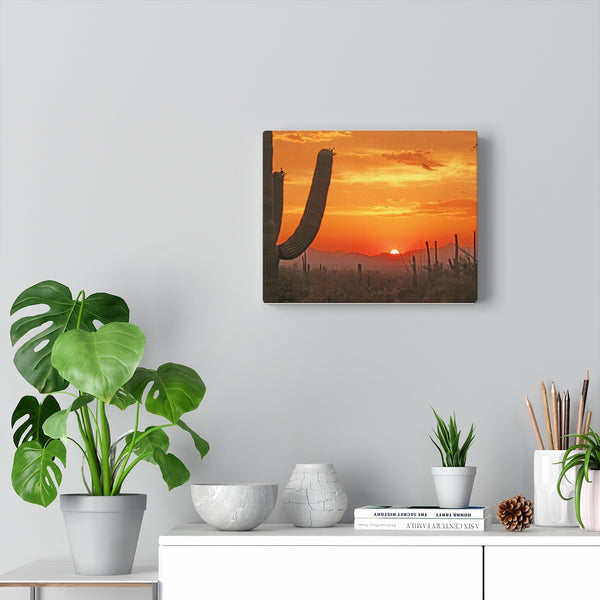 Wall Art | Canvas Wall Decor | Home Decor Midwest Decor Cactus Decor