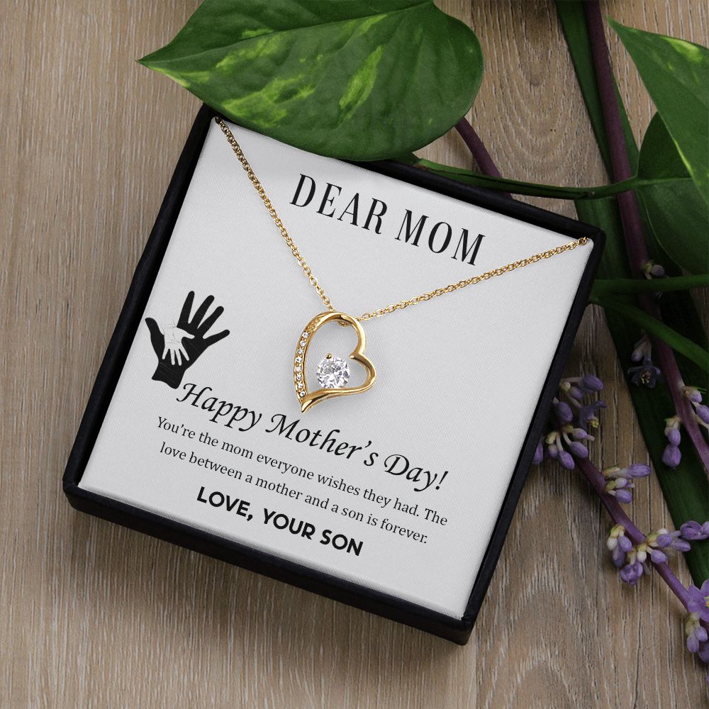 Mother's Day Gift from Son, Heart Necklace Jewelry for Mother's Day
