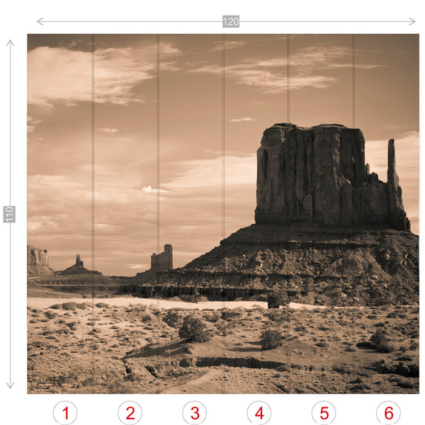 Desert Valley Wall Mural