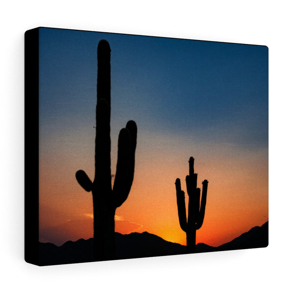 Canvas, Desert, Wall Art Canvas, Home Decor, Wall Decor, Midwest