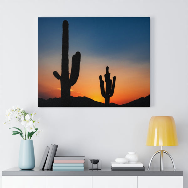 Canvas, Desert, Wall Art Canvas, Home Decor, Wall Decor, Midwest