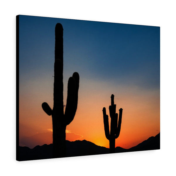 Canvas, Desert, Wall Art Canvas, Home Decor, Wall Decor, Midwest