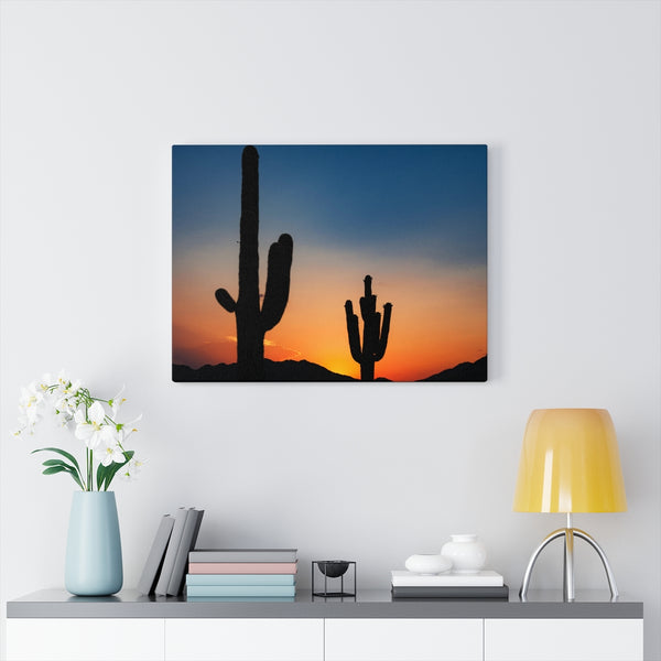 Canvas, Desert, Wall Art Canvas, Home Decor, Wall Decor, Midwest