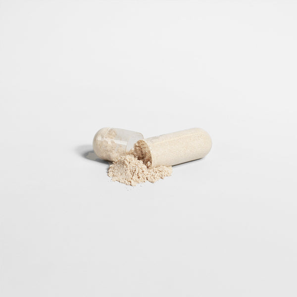 Sea Moss - Superfood for Immunity, Energy & Skin Health | Natural Wellness Support