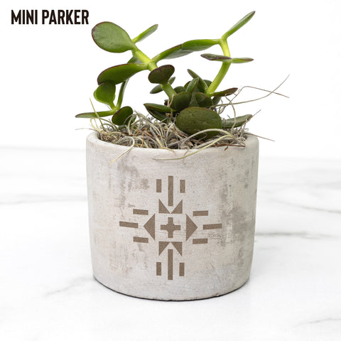 Desk Plant with Southwestern Pot - Choose Your Serenity from 3 colors and 3 types of live plants