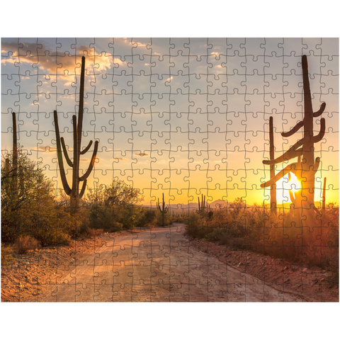 Puzzle, Desert Cacti Puzzle, Scenic Puzzle, Gifts, Outdoors