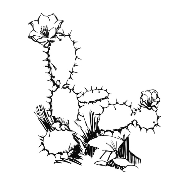 Blooming Cacti Metal Sign Wall Decor