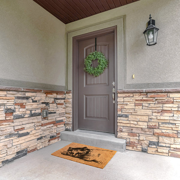 Welcome Mat Coir Heavy Duty Door Mat Cat Sleeping